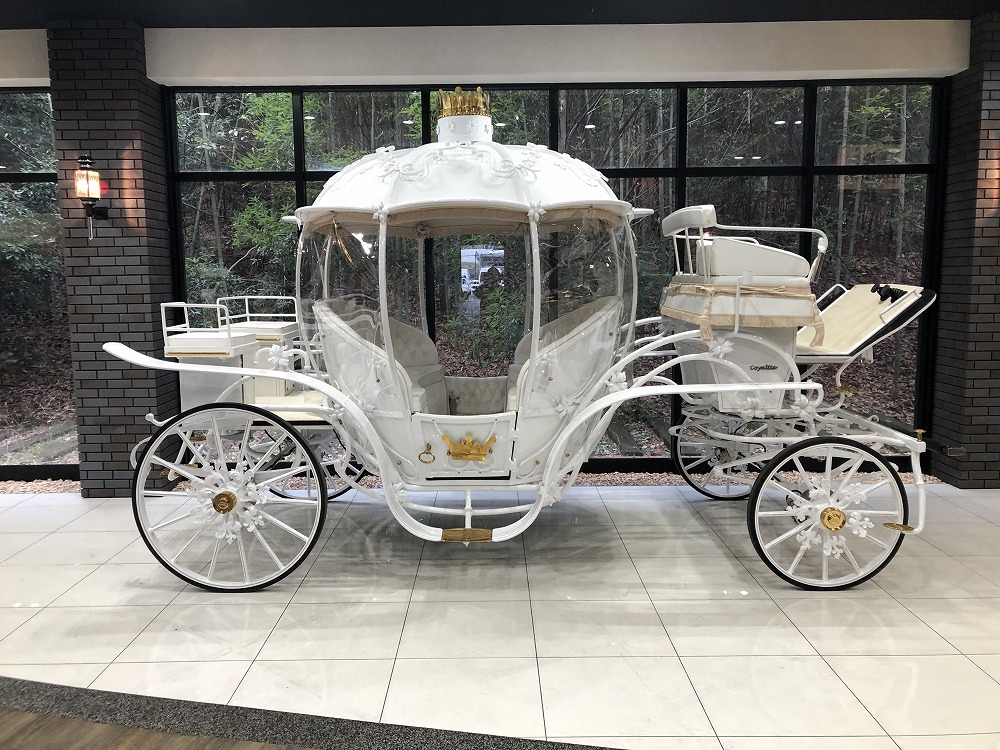 Coyaltix Carriage/Cinderella(W)/2021後期