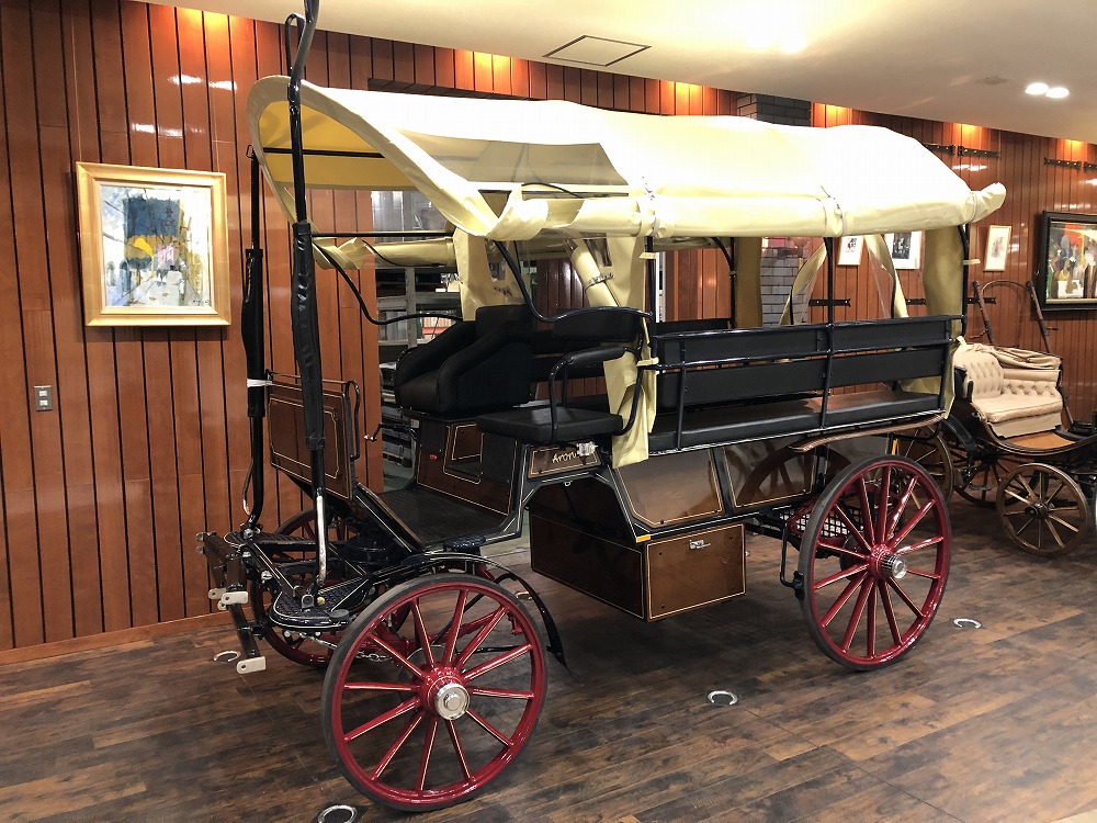 (新古)Coyaltix社製 Wagonette Long