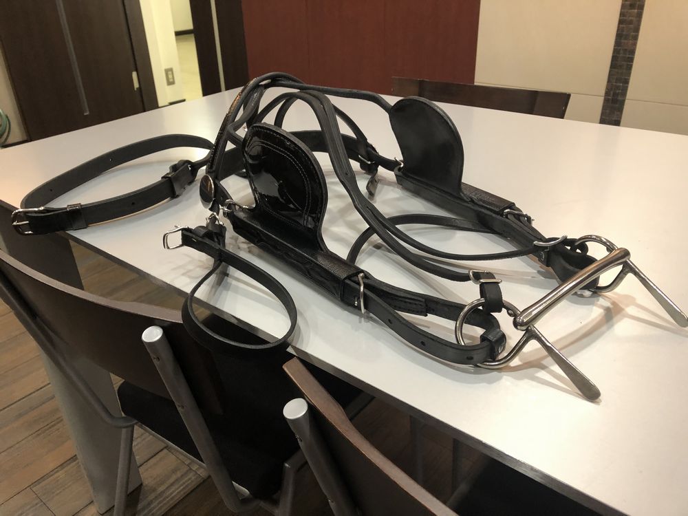 頭絡／ハーネス部品