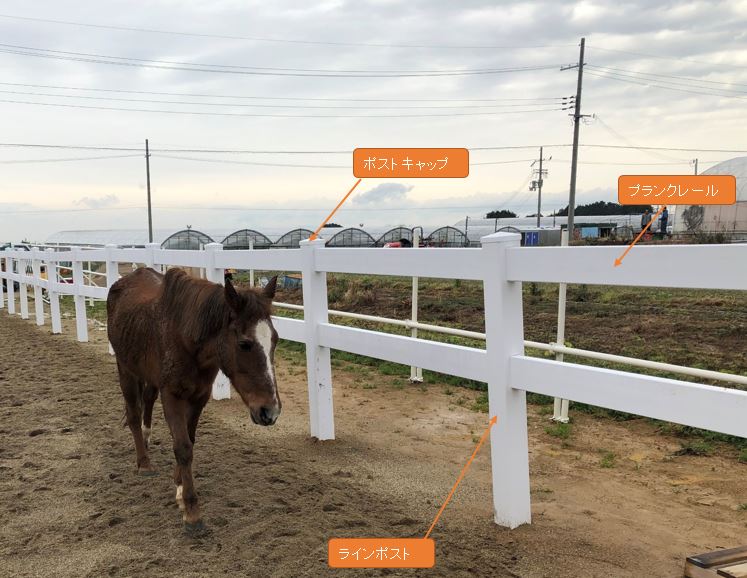 PVC放牧柵/ポスト/コーナー/2段x1本