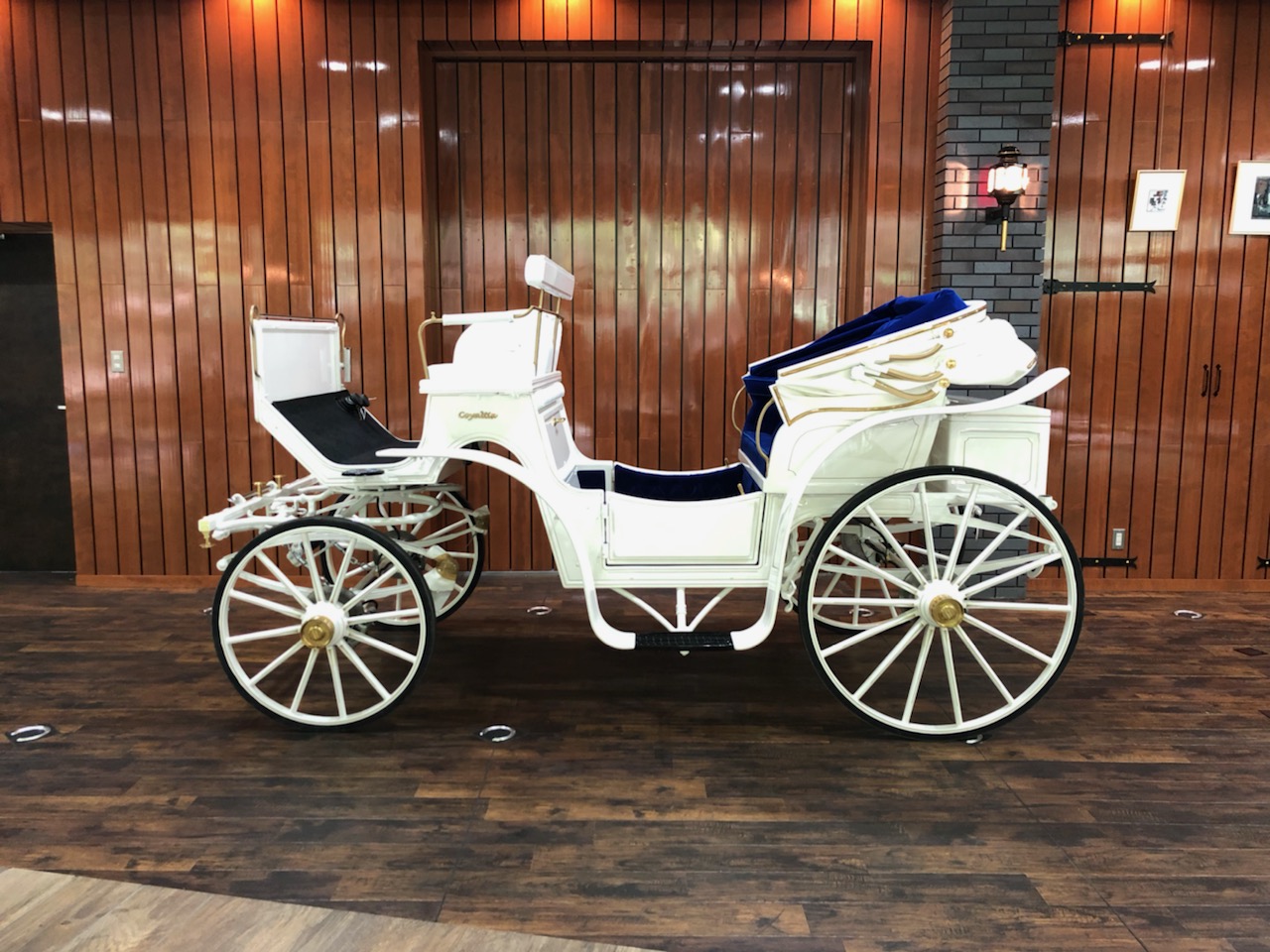 Coyaltix Carriage/Victoria(W/RB)