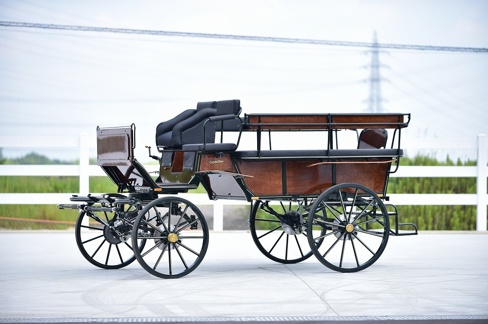 Coyaltix社製 Wagonette Long