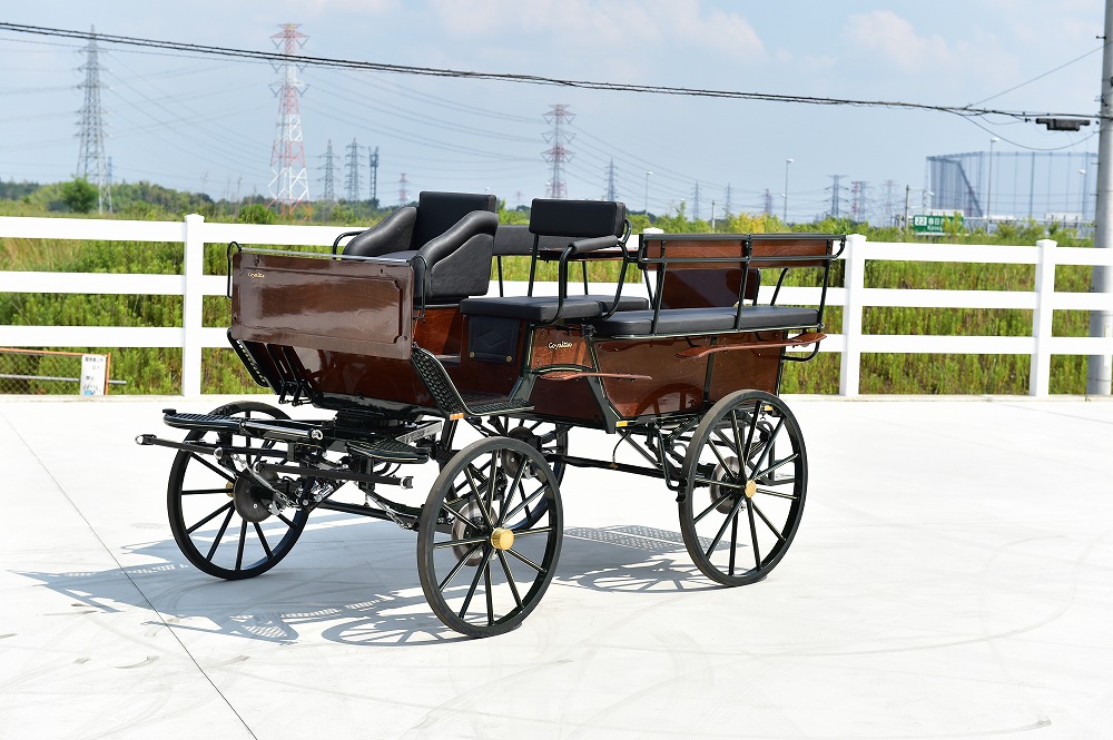 Coyantix社製 Wagonette Short